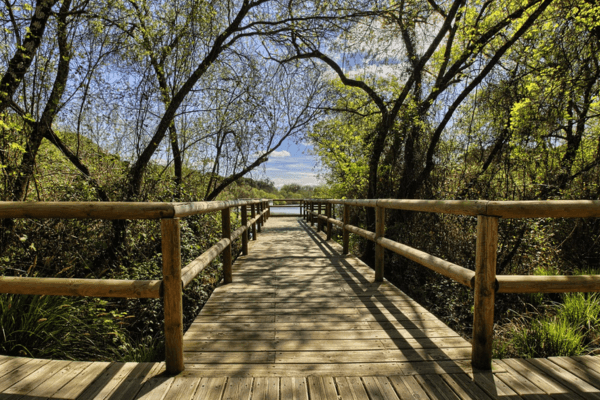 10 Destinos Exóticos Imperdíveis para Amantes do Ecoturismo