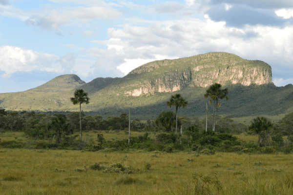 A Beleza Selvagem de Chapada dos Veadeiros, GO: Ecoturismo no Coração do Cerrado