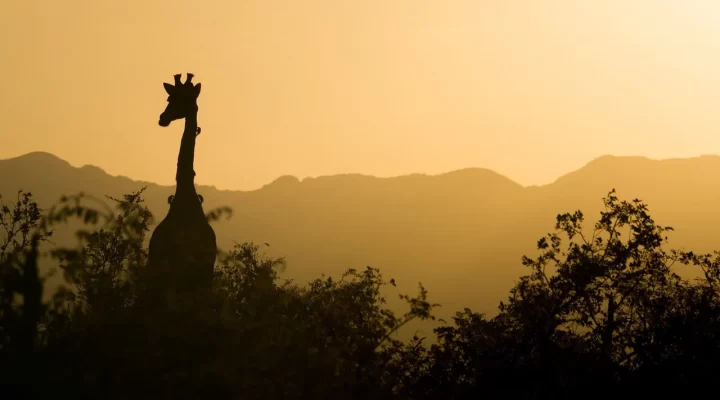 Turismo na África do Sul: Um Destino Imperdível